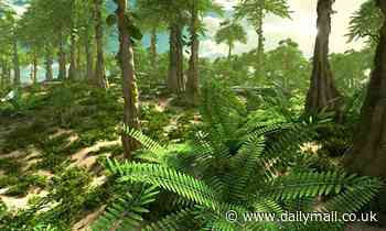 New forest growth may have sparked the mass extinction 360 million years ago - Daily Mail
