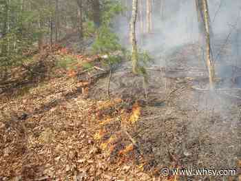 Monongahela National Forest plans prescribed burn in Big Mountain Project area - WHSV