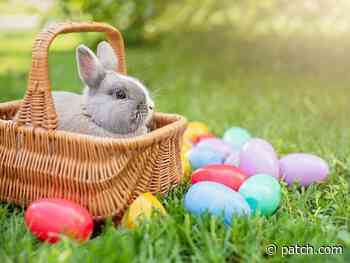 Whats Open, Closed On Easter 2021 In Oak Forest - Oak Forest, IL Patch