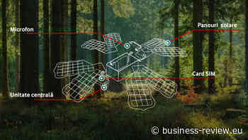 Vodafone powers the first smart forest in Romania to prevent illegal logging - Business Review