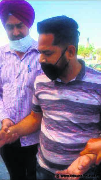 Forest guard held for Rs 4.5L bribe - The Tribune