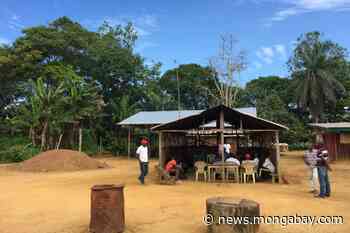 Logging company moves into intact Gabon forest as village fights to save it - Mongabay.com