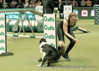 Wild Paws Agility: UK's biggest indoor dog training centre coming to Leyland