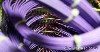 Getting AI to work in a fleshy, messy world is harder than you think