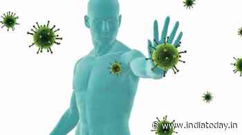 Lung temperature influences coronavirus replication: Study - Coronavirus Outbreak News - India Today