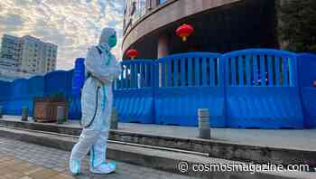 The WHO report into coronavirus origin is out - Cosmos