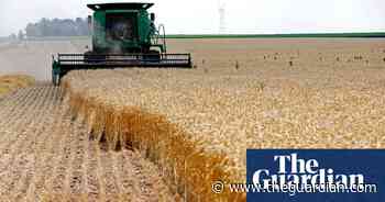 Rapid global heating is hurting farm productivity, study finds