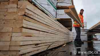 Record-high lumber prices add as much as $30K to the cost of building a house