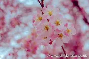 Easter weekend weather: 4-day forecast for St Helens - St Helens Star