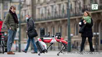 Rathausmarkt: Roboter-Hund zieht in Hamburger Innenstadt Blicke auf sich