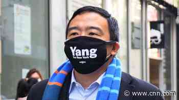 Andrew Yang hospitalized with apparent kidney stone, campaign says