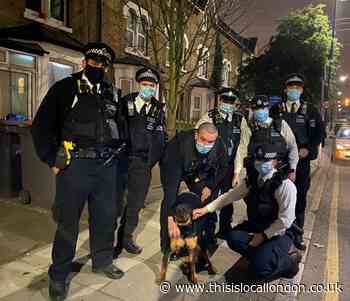 Dog reunited with owner after being found by Hale Police