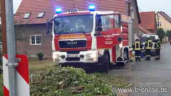 Rettungskräfte in Guben: Feuerwehr soll weniger „Sinnlos-Einsätze“ fahren - Lausitzer Rundschau