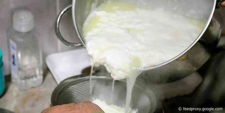 Why pule donkey cheese is the most expensive cheese in the world