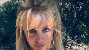Britney Spears Shuts Down Makeup Artist, Says "I Write My Posts"