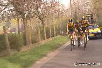 Wuustwezelnaar moet Wout Van Aert aan winst helpen in de Ronde - Gazet van Antwerpen