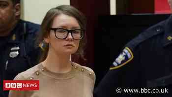Anna Sorokin: Fake heiress detained by US immigration authorities