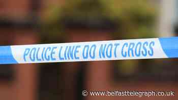 Elderly woman dies after being attacked by escaped dogs