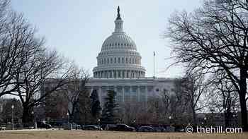 Pelosi orders Capitol flags at half-staff to honor slain officer