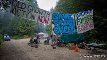 Protesters must clear Vancouver Island blockade or risk arrest after logging company wins injunction