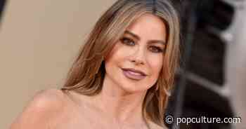 Sofia Vergara Celebrates Major Victory in Longtime Legal Fight With Ex Nick Loeb - PopCulture.com