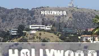 Hollywood Sign Vandalized with Cow, Suspects Arrested
