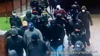 Watchdog urged to probe Pitt Park policing operation