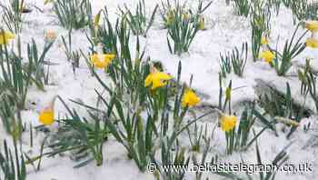 Wrap up warm for outdoor Easter with snow showers on the way