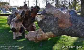 Geknotte essen vormen ontmoetingsplek - Streekradio MIG - Radio MIG