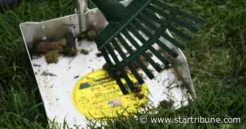 Plymouth urges residents to call 911 for dog violations