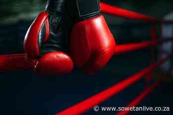 Boxing SA’s new board outlines ambitions to transform the sport - SowetanLIVE
