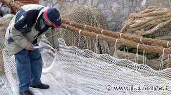 Fermo pesca a strascico, Antonelli: "Accolte le proposte dei pescatori di Fiumicino" - IlFaroOnline.it