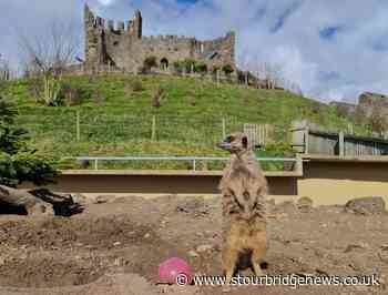 Tickets on sale as Dudley Zoo and Castle gets set to re-open on Monday April 12 - Stourbridge News
