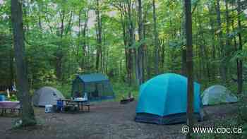 Have reservation bots scooped up Ontario Parks sites this summer? Campers have questions
