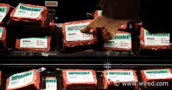 I Avoided Fake Meat for Years. That Was a Big Mistake