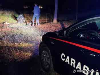 Limidi di Soliera: anziano muore cadendo sul fuoco dove stava bruciando sterpaglie - Voce di Carpi