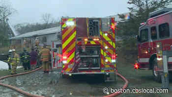 Parrots Killed In Fire At Rhode Island Exotic Bird Sanctuary - CBS Boston