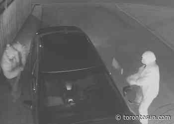 Two men sought in baseball bat attack in north Toronto - Toronto Sun