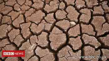 Climate change: Net zero targets are 'pie in the sky'