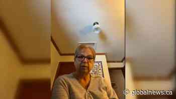 Grandmother named 1st female chief of Saskatchewan First Nation