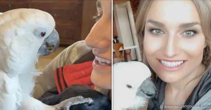 Puppy and Parrot Become Online Sensations After Forming an Unlikely Friendship