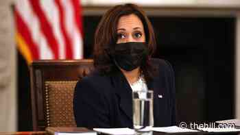 Harris in difficult starring role on border