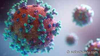 New Decoy Protein Treatment Fools Coronavirus, Rendering It Impotent