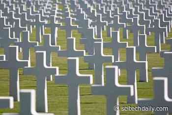 US Deaths Normally Change Less Than 2% Each Year – In 2020 With COVID, They Rose a Staggering 22.9%