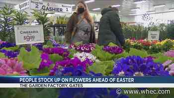 Shoppers stock up on Easter flowers