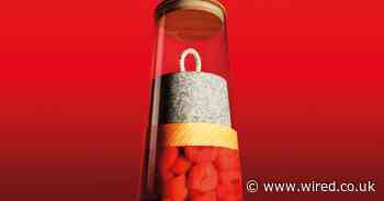 From kimchi to kefir, here’s how to pickle and ferment like a pro