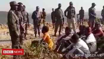 Evidence suggests Ethiopian military carried out massacre in Tigray