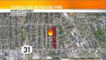 3 dogs die in house fire on Myrtle Street near Lyell Avenue