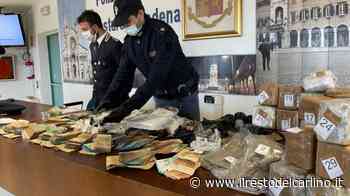 Droga Modena: mezzo milione di stupefacenti in casa. Quattro arresti - il Resto del Carlino