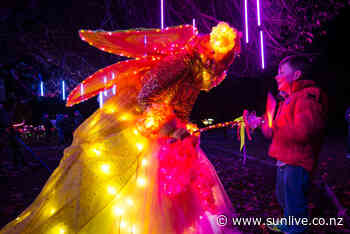 Fairies in the forest - The Bay's News First - SunLive